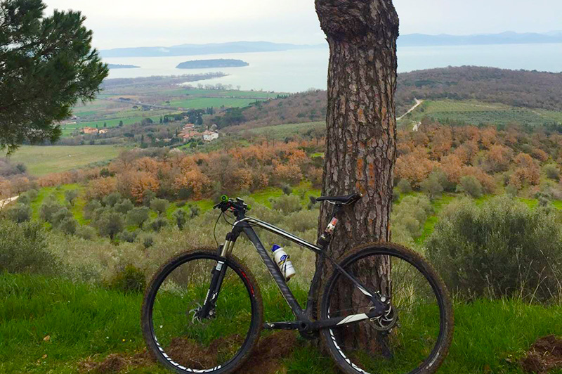 Percorso ciclabile al Lago Trasimeno